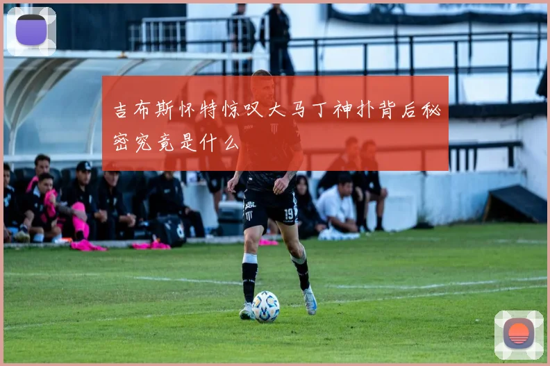 吉布斯怀特惊叹大马丁神扑背后秘密究竟是什么